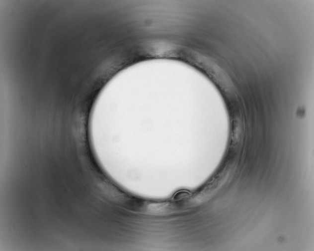 X0000103150461200809192033