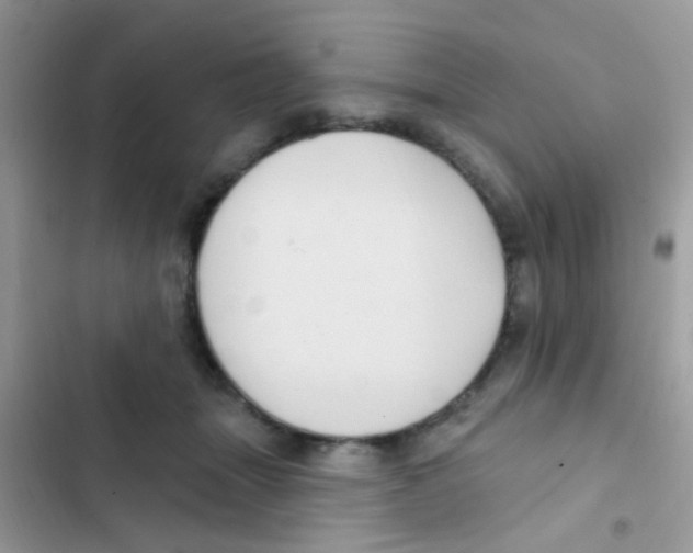 X0000103150463200809192033