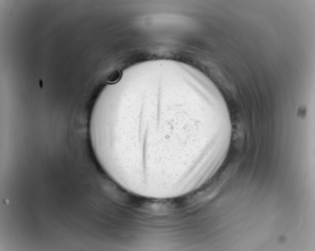 X0000103150466200809192033