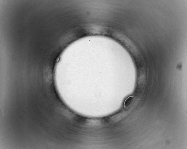 X0000103150469200809192033