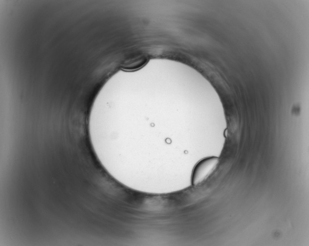 X0000103150470200809192033