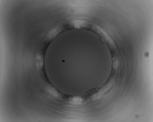 X0000103150471200809192033