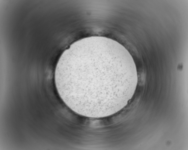 X0000103150472200809192033