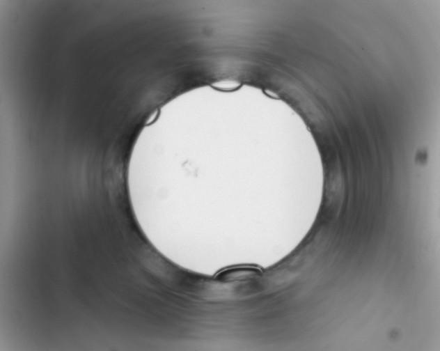 X0000103150473200809192033