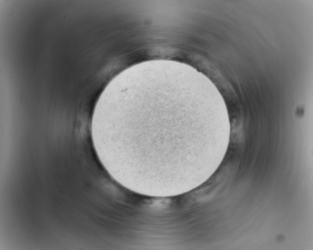 X0000103150474200809192033