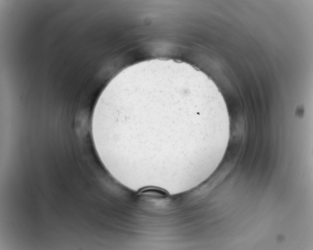 X0000103150478200809192033