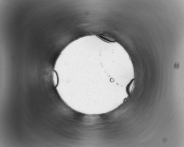 X0000103150480200809192034