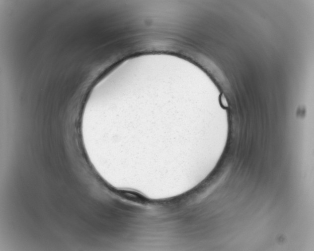 X0000103150481200809192033