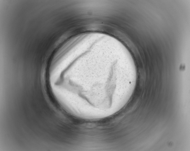 X0000103150482200809192033