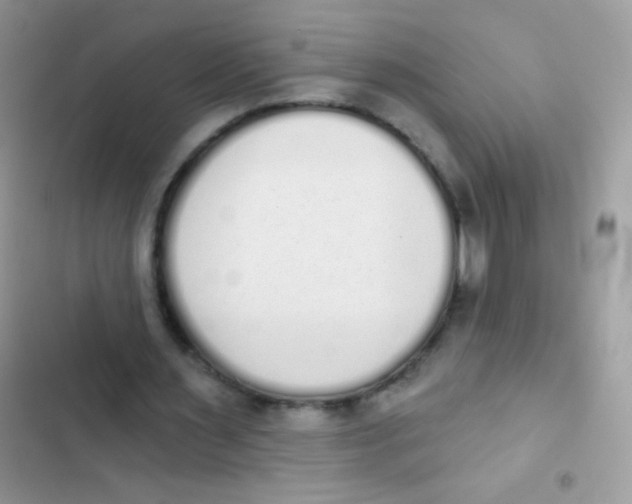 X0000103150483200809192033