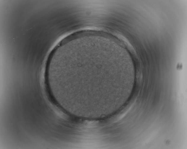 X0000103150484200809192033