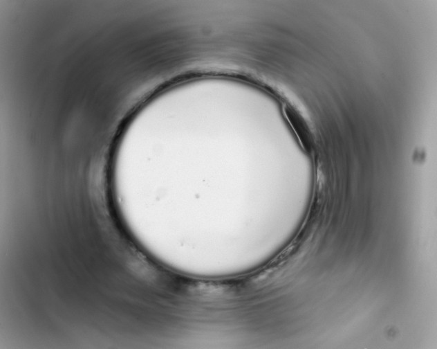 X0000103150487200809192033