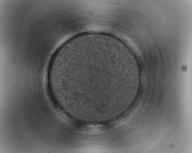 X0000103150488200809192033