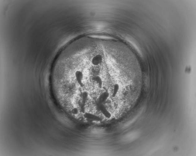 X0000103150491200809192033