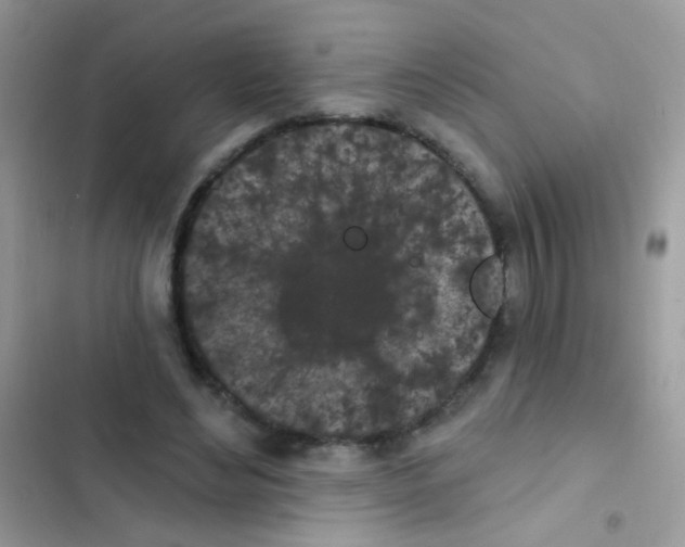 X0000103150492200809192033