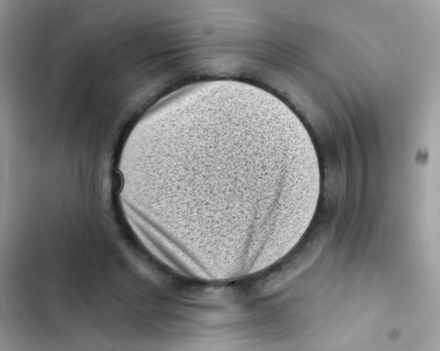 X0000103150493200809192033