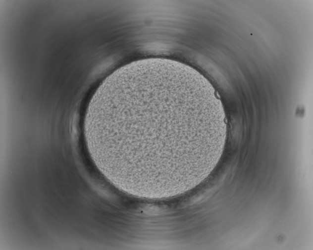 X0000103150494200809192033