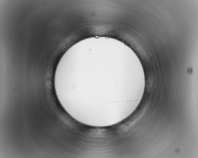 X0000103150497200809192033