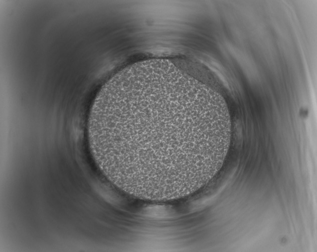 X0000103150499200809192033