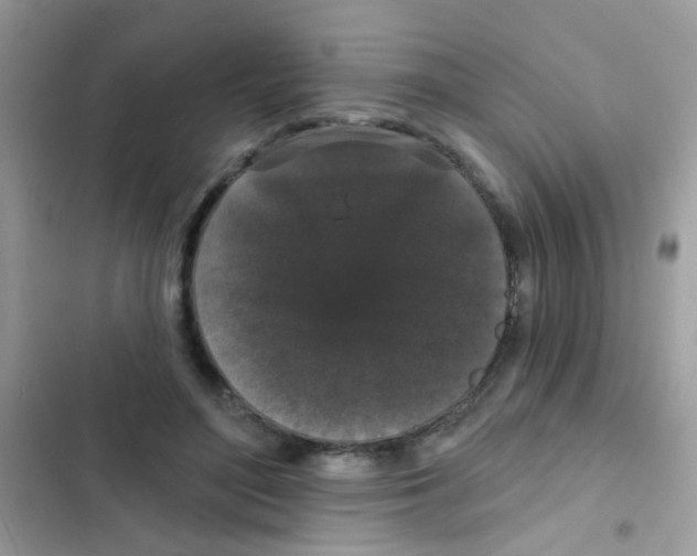 X0000103150500200809192033