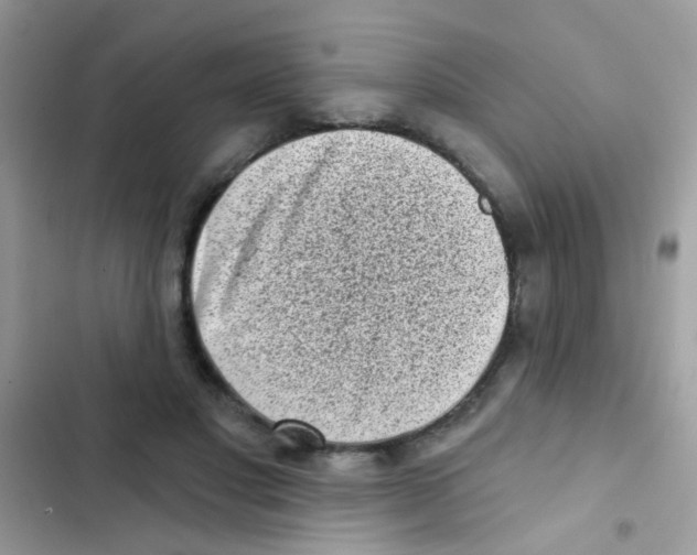 X0000103150501200809192033