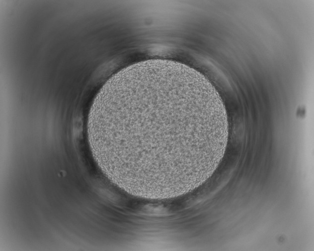 X0000103150502200809192033