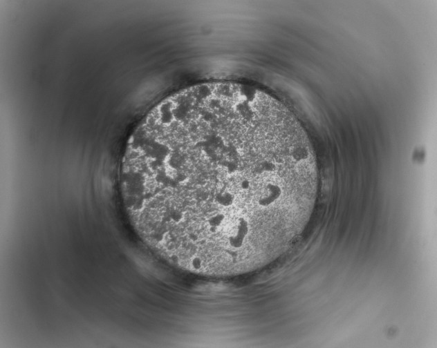 X0000103150503200809192033