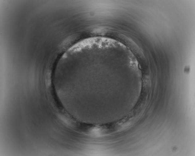 X0000103150504200809192033