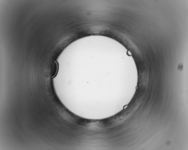 X0000103150505200809192033