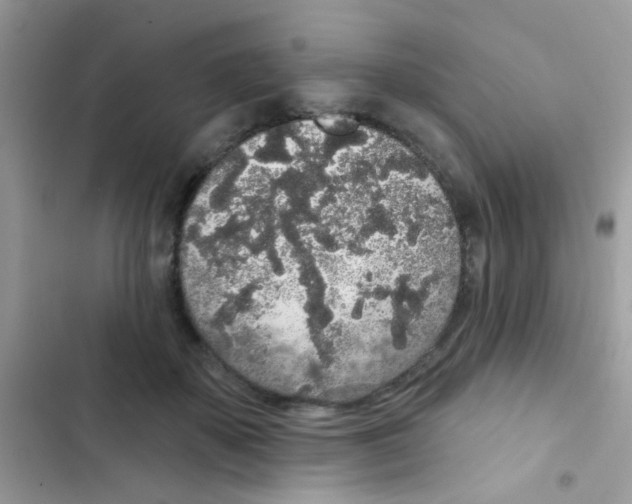 X0000103150507200809192033