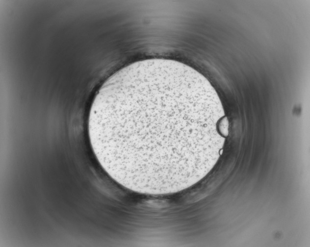 X0000103150508200809192032