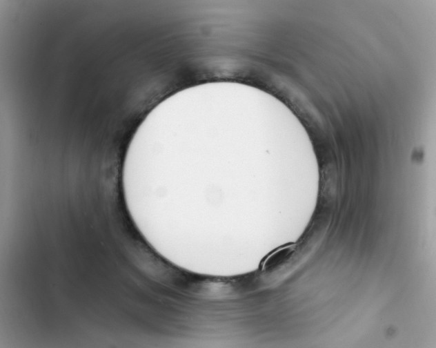 X0000103150509200809192032