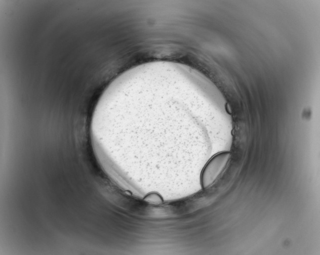 X0000103150510200809192032