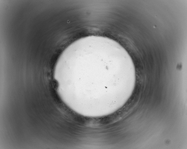 X0000103150511200809192032