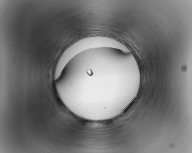 X0000103150512200809192032