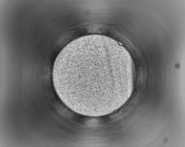 X0000103150513200809192032