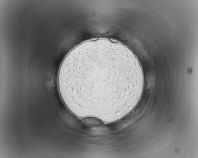 X0000103150515200809192032