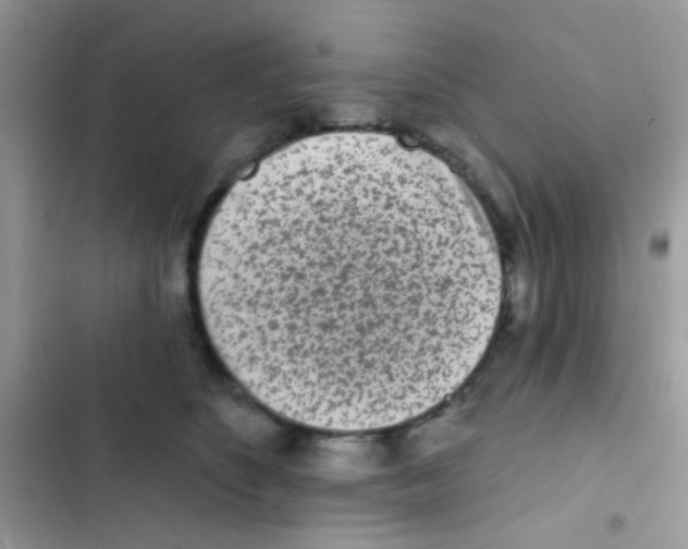 X0000103150516200809192032