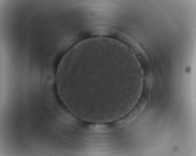 X0000103150517200809192032