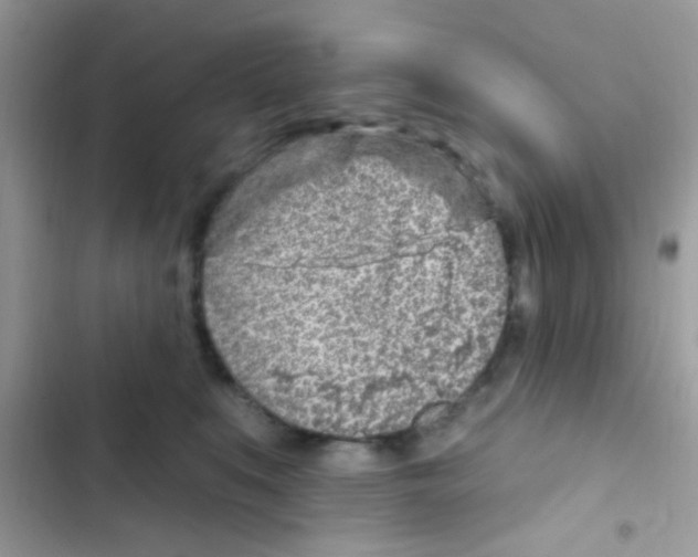 X0000103150519200809192032