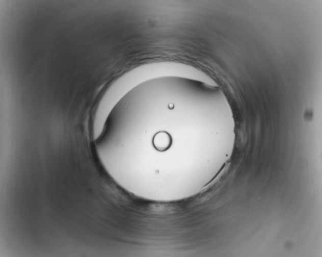 X0000103150520200809192032