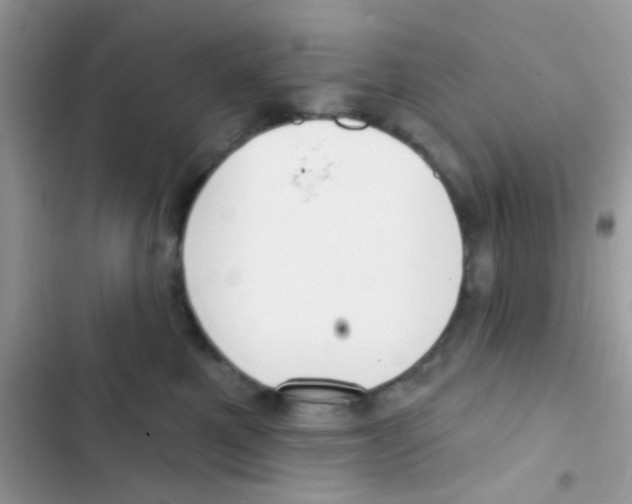 X0000103150521200809192032