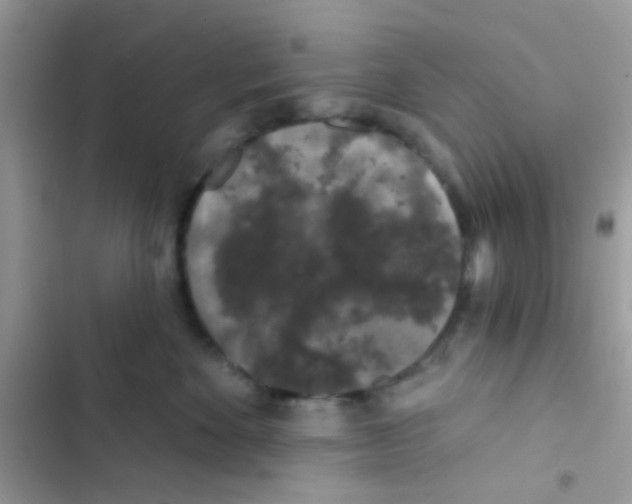 X0000103150524200809192032