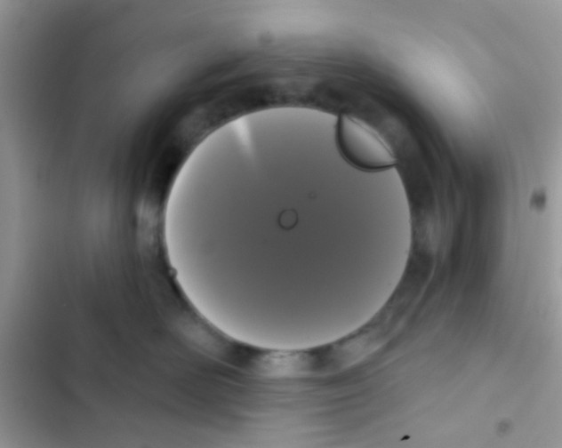 X0000103150526200809192032