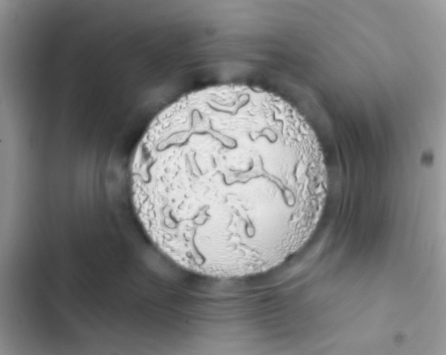 X0000103150527200809192032