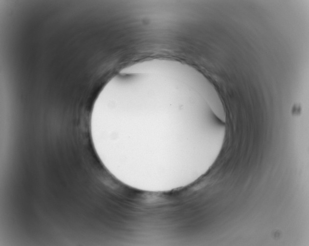 X0000103150528200809192032