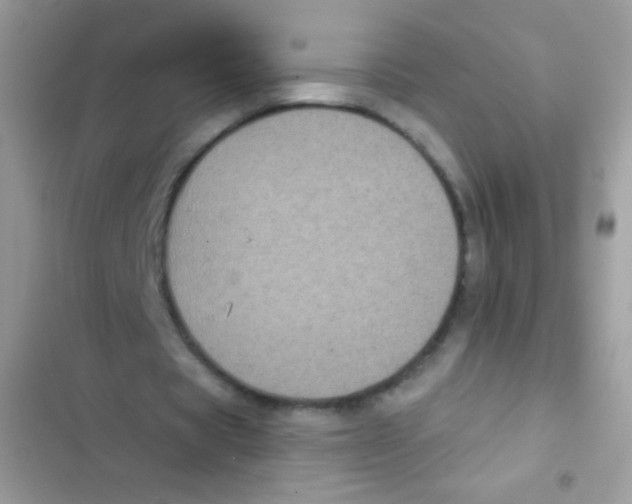 X0000103150529200809192031