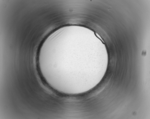 X0000103150530200809192031