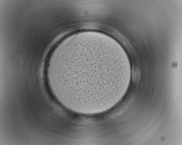 X0000103150531200809192031