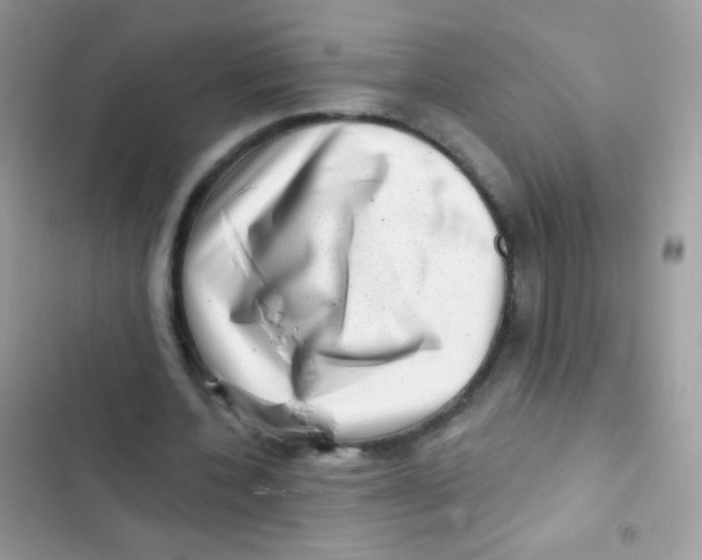 X0000103150532200809192031